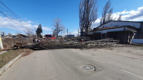 Bilanțul ultimei ore de cod roșu și galben de vânt în Argeș, Prahova, Giurgiu și Dâmbovița. Acoperișuri smulse, arbori scoși din rădăcini, TIR răsturnat - VIDEO
