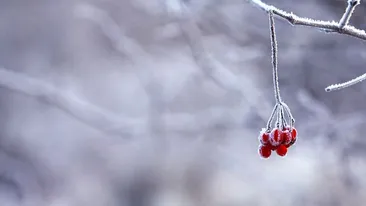 Azi s-au înregistrat primele temperaturi sub 0 grade Celsius din această toamnă!