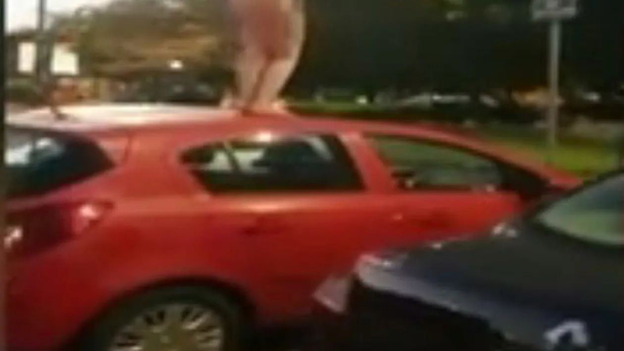 Scene şocante în Bucureşti! O tânără s-a dezbrăcat în pielea goală şi a oferit un show de zile mari pe o maşină