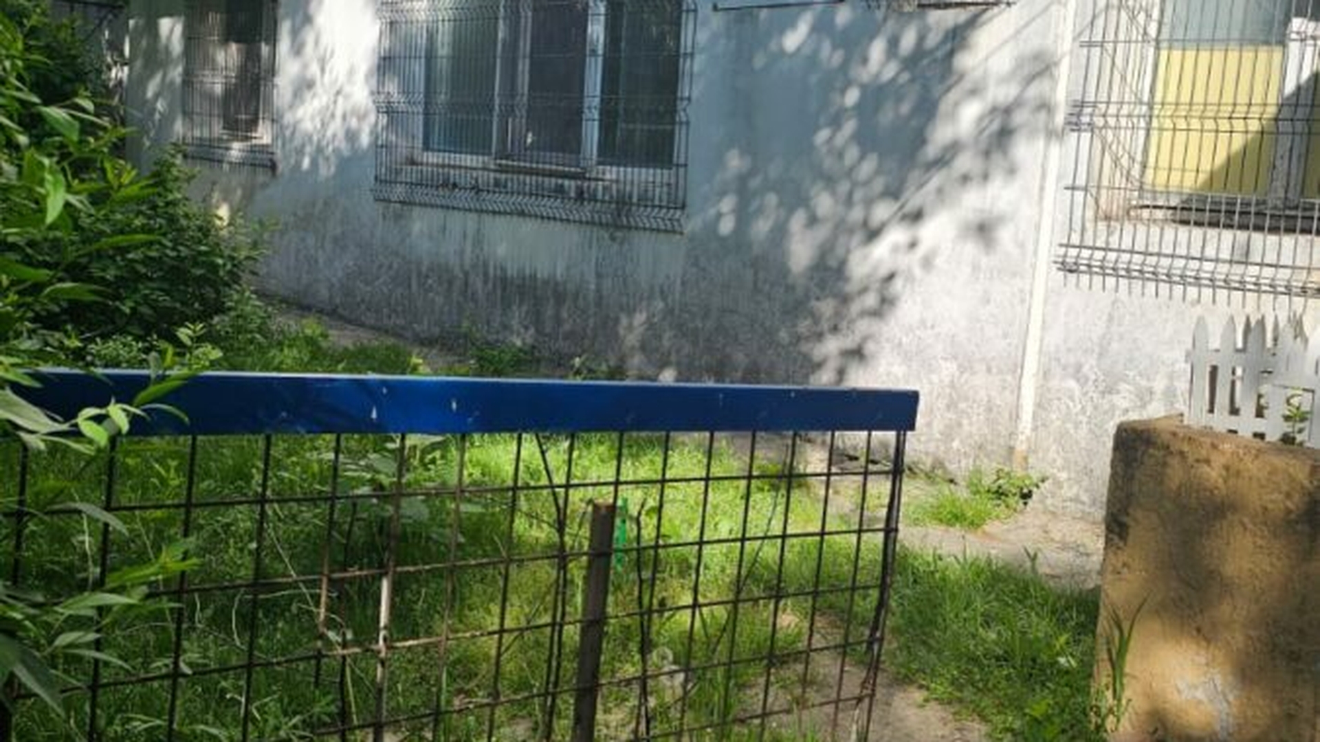 NU E BANC! Marius Atanasiu, un medic de familie din Dâmbovița, vinde vin vărsat chiar în cabinet. Care este oferta de nerefuzat