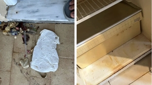 Vacanță de coșmar pentru o familie de români! Ce au putut să găsească în camera de hotel din Grecia