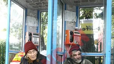 Au ajuns sa traiasca in cabine de telefon!