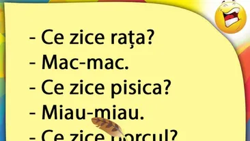 BANCUL ZILEI | Rața, pisica și porcul