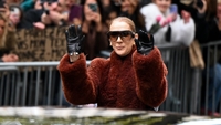 Celine Dion a căzut pe scenă, în timpul unui concert la Paris. Cum a reacționat artista în fața spectatorilor