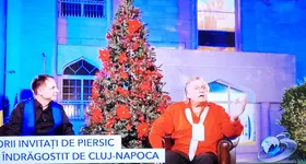 Galerie foto - poza 1