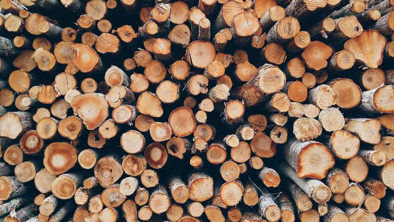 Cât a ajuns să coste un metru cub de lemne în octombrie 2025. Vești proaste pentru români!