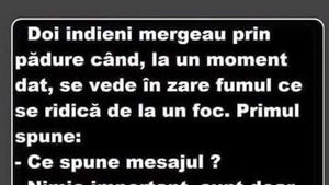 BANCUL ZILEI | Doi indieni mergeau prin pădure