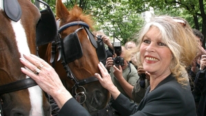Anunțul momentului despre Brigitte Bardot! Ce se întâmplă cu actrița, după ce a fost diagnosticată cu o boală gravă
