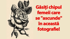 Test IQ din anul 1880 | Găsiți chipul femeii care se "ascunde" în această fotografie din Franța!