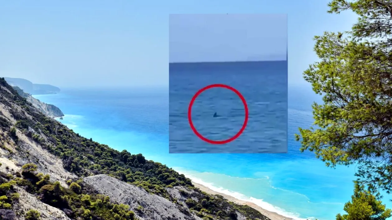 Turiștii sunt în alertă! Un rechin a fost văzut înotând aproape de țărm, pe o insulă din Grecia