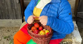 Galerie foto - poza 1