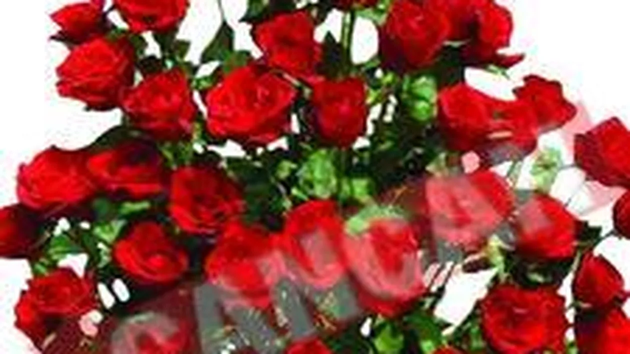 20 de milioane de lei pentru un buchet de flori