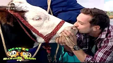 Dani Oţil, cel mai şocant gest din ultima vreme de la TV! S-a pupat LIVE cu o vacă: Faţă de altele din tinereţe...