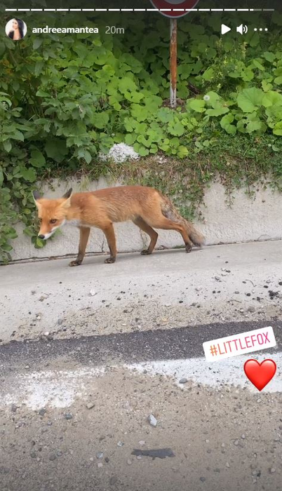 Andreea Mantea și fiul ei au avut parte de o „întâlnire” specială. Sursă foto: Captură Instastory
