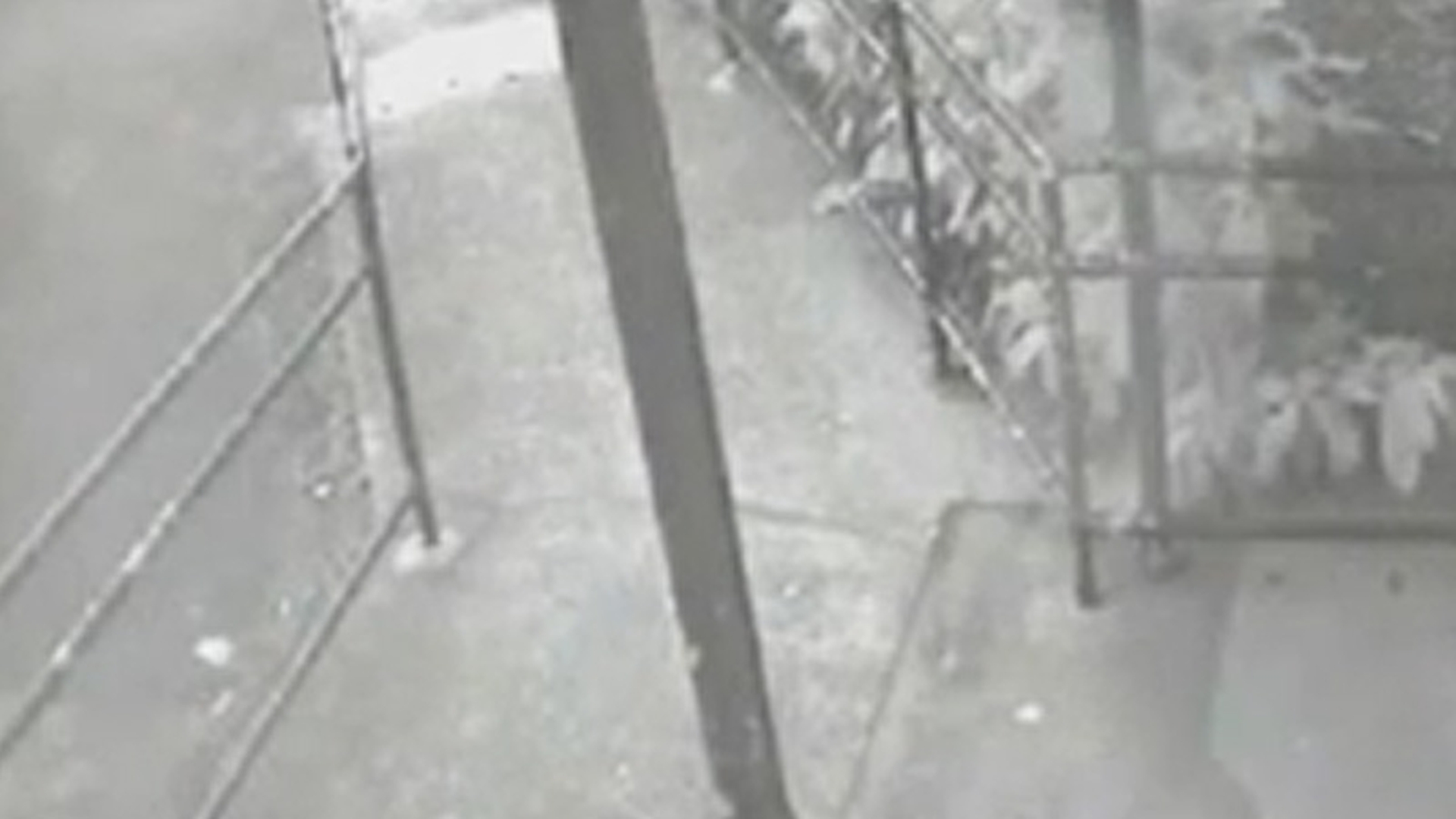 3 secunde de GROAZĂ surprinse de camerele de supraveghere pe care nimeni nu şi le explică! Fiinţa care a declanşat PANICĂ pe net