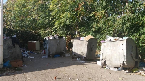 Este invazie de șobolani într-un cartier din Craiova. Directorul unui liceu a adus un câine să prindă rozătoarele