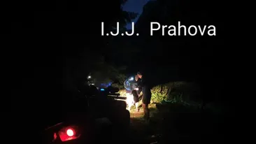 Drumeție cu peripeții. Trei tineri au sunat la 112, speriați de o viperă și de urmele unui urs VIDEO