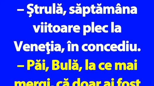 BANC | Bulă se duce în concediu în Veneția