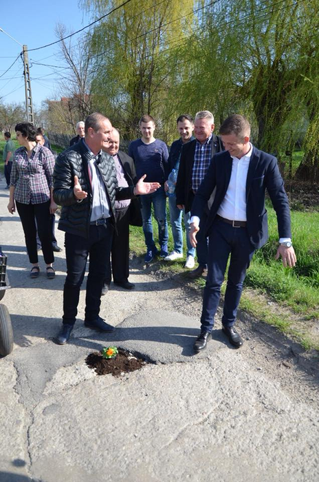 Primarii și localnicii au plantat pansele în gropile din șosea