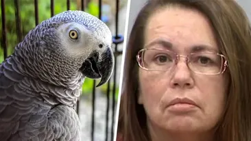 Această femeie a fost dată de gol că și-a ucis soțul, după ce papagalul familiei a rostit ultimele lui 6 cuvinte. Care sunt acestea