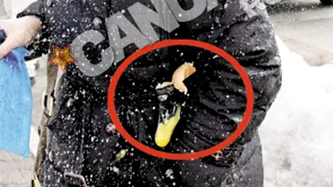 Anna Maria Duma (fosta Uzunov) a fost atacata in fata Judecatoriei Buftea. Batuta cu oua si bulgari de zapada inainte de judecata