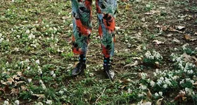 Galerie foto - poza 1