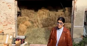 Galerie foto - poza 2