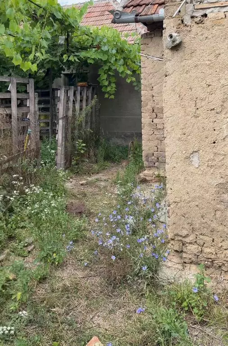 Cum arată casa din Maramureș în care a copilărit Vlăduța Lupău! Locuința bunicilor era locul preferat al cântăreței: „Nu am vândut-o și nici nu o voi vinde”