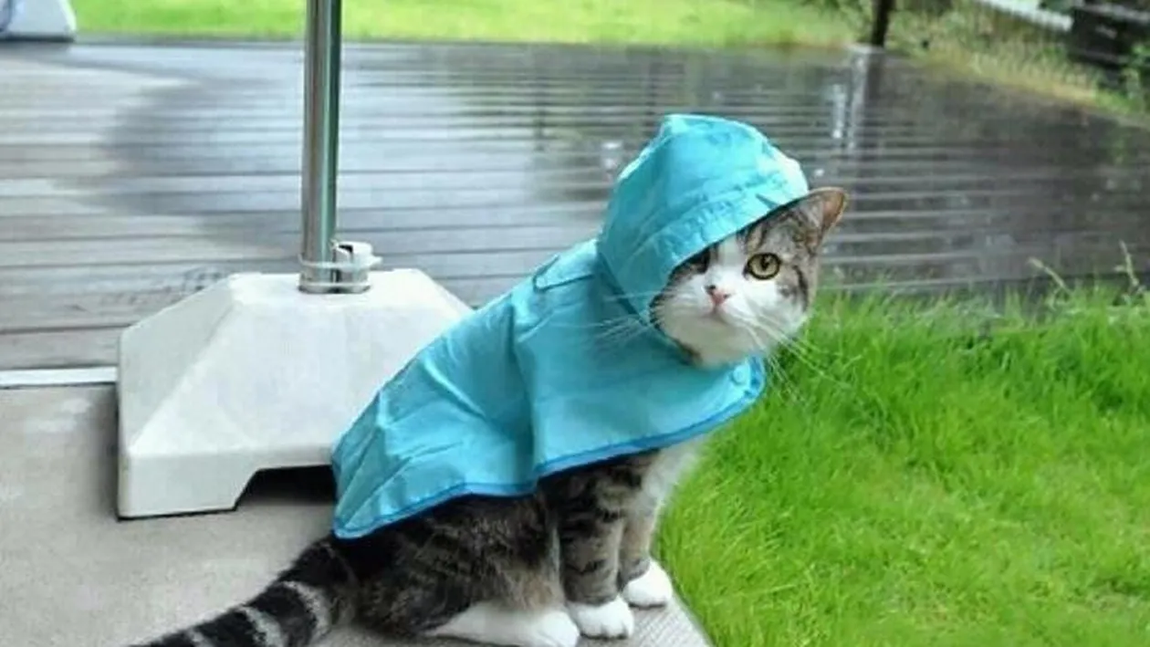 Ploile se instalează în aproape toată ţara