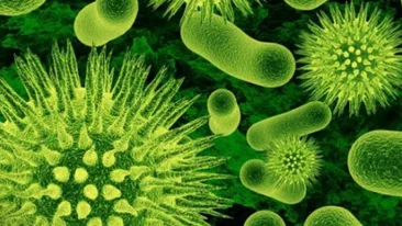 Încă un virus periculos îi bagă în alertă pe specialiști! Nu există tratament, iar mortalitatea e mare