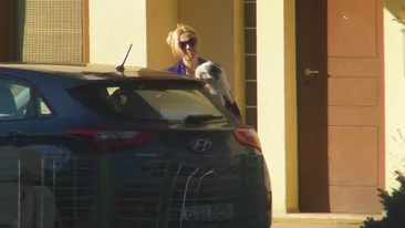 Livrare speciala pentru Dana Savuica! A primit acasa cateva colete cu genti si curele!