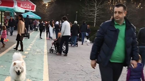 "Negustorul de scutece" a dat alarma în Herăstrău! Celebrul "Droopy" şi-a pierdut câinele în parc şi...