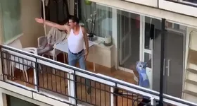 Galerie foto - poza 2