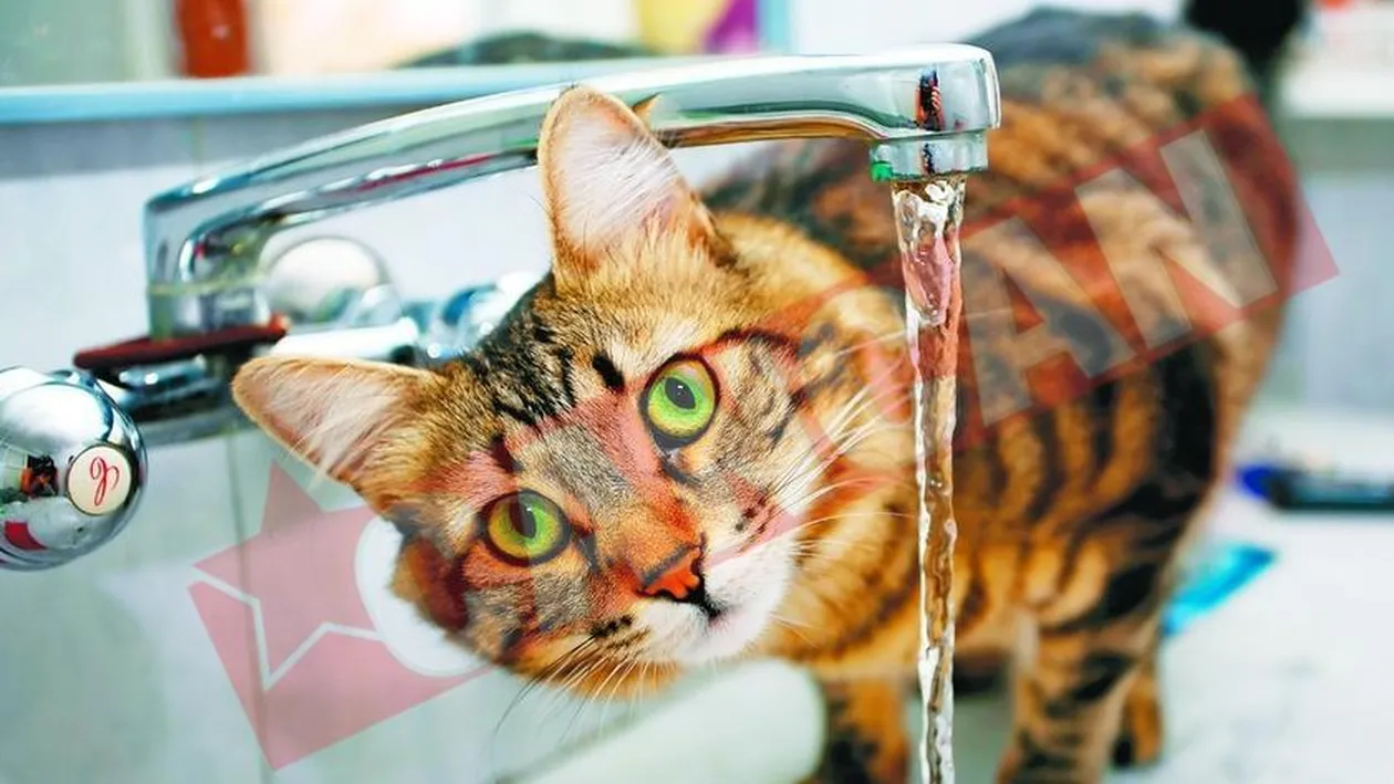 Cum sa ai apa potabila la chiuveta