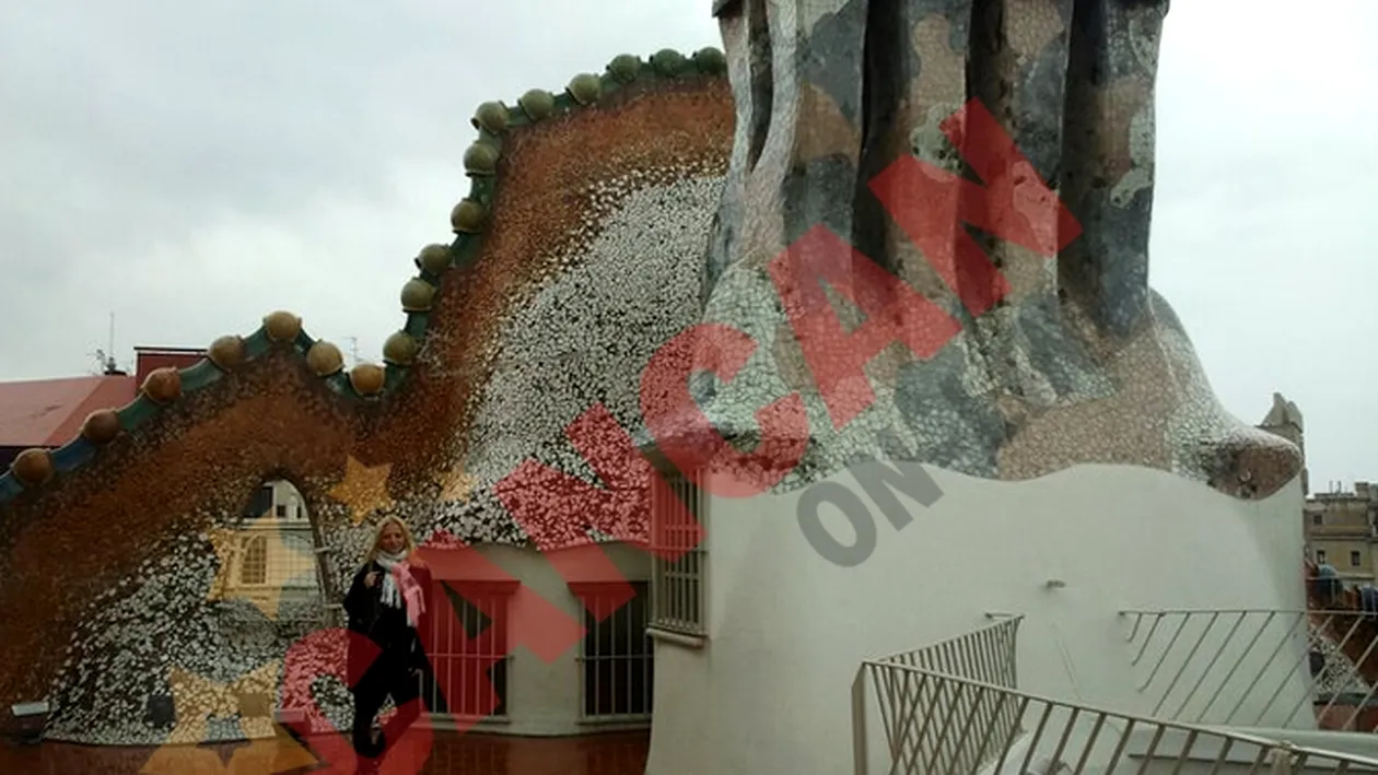 Delia si-a epuizat economiile pe vacante