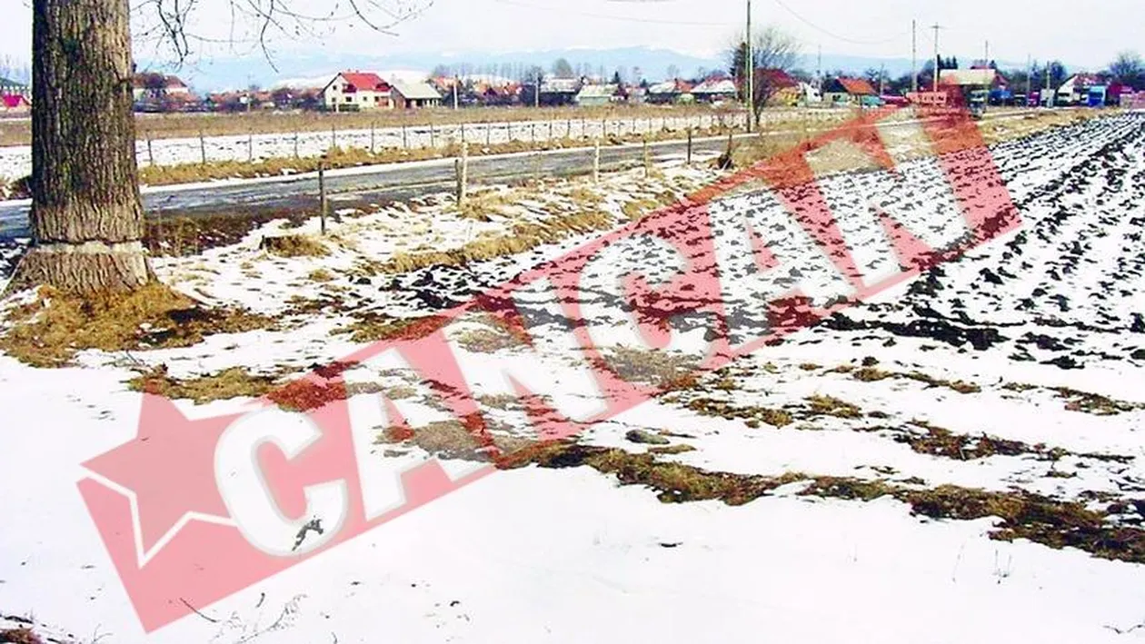 Cum putem castiga bani