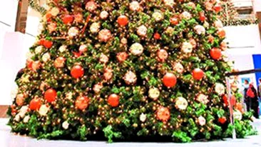 Cum decoram bradul anul acesta?