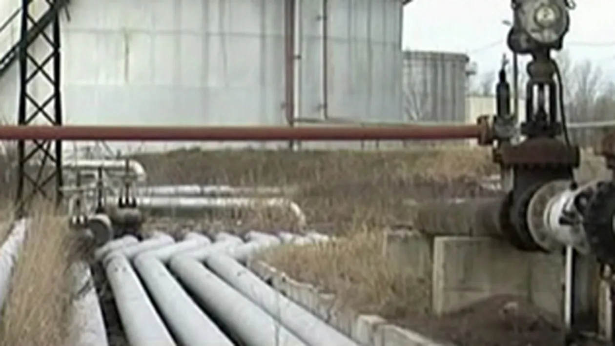 Hoti prinsi de Bianca Dragusanu