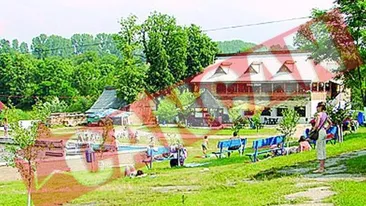 Camere video pentru prinderea hotilor de hartie igienica