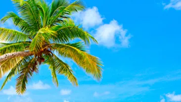 Autoritatile din sectorul 3 vor sa faca plaja in Bucuresti! Au investit 5,5 milioane de euro!