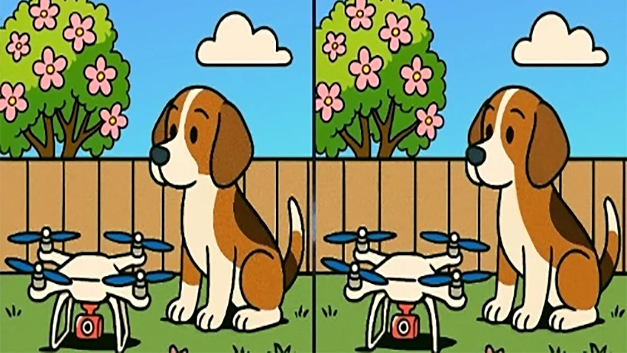 Test de perspicacitate | Găsiți toate cele 3 diferențe în maximum 27 de secunde!