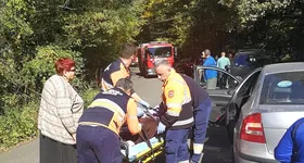 Galerie foto - poza 3