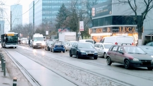 Se afla în zona Pipera din București atunci când a avut parte de mare surpriză. Ionela a pus mâna pe telefon și a surprins momentul. ”Dacă scapă, vine”
