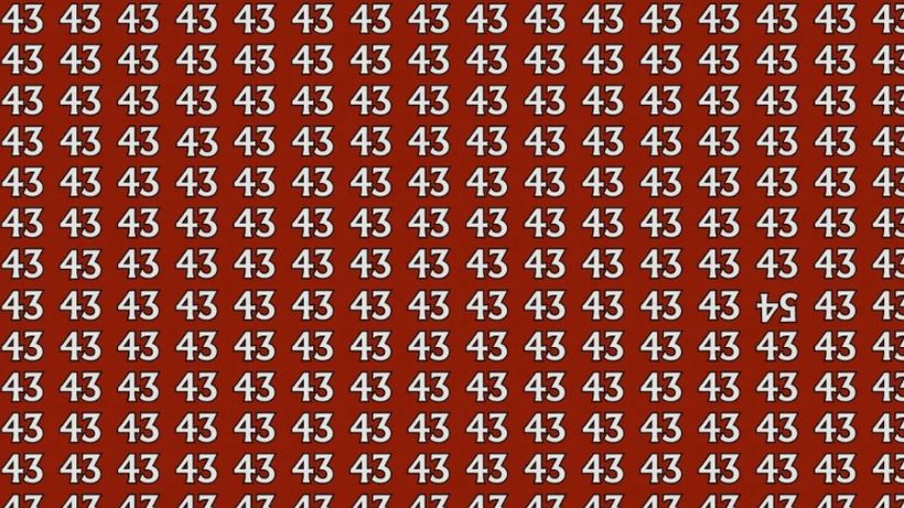 Test IQ | Găsiți numărul 54 ascuns printre 43. Geniile îl descoperă în doar 20 de secunde