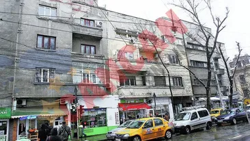 Analia Selis, in razboi cu vecinii