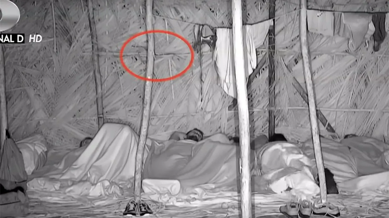 Detaliul șocant observat de telespectatori în episodul de aseară Survivor România de la Kanal D