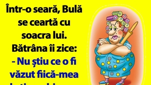 BANC | Bulă se ceartă cu soacra lui