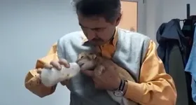 Galerie foto - poza 1