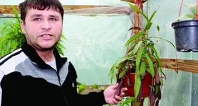 Galerie foto - poza 4