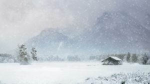 Prognoza meteo azi, 25 februarie 2026. Sud-Vestul țării se încălzește ușor, în timp ce la munte revin ninsorile și vântul puternic